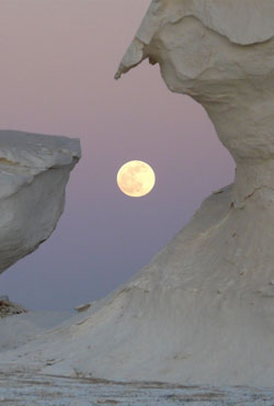 Desierto blanco - Egipto