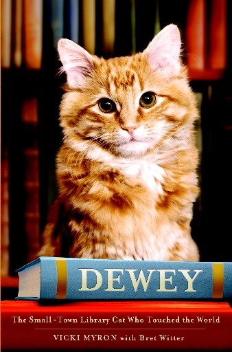 Dewey, el gatet de biblioteca que ha commogut el món