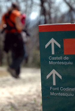 Itinerari de l'obaga i la Solana (Parc del Castell de Montesquiu)