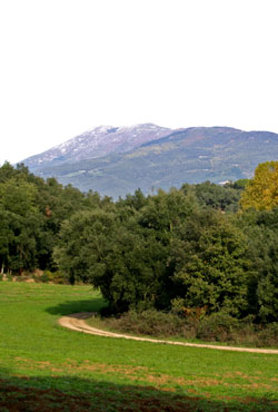 La vall d'Olzinelles